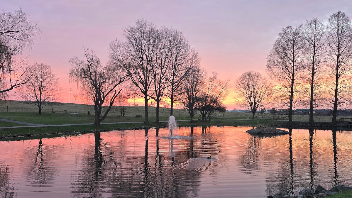 The Digital Ghost Town