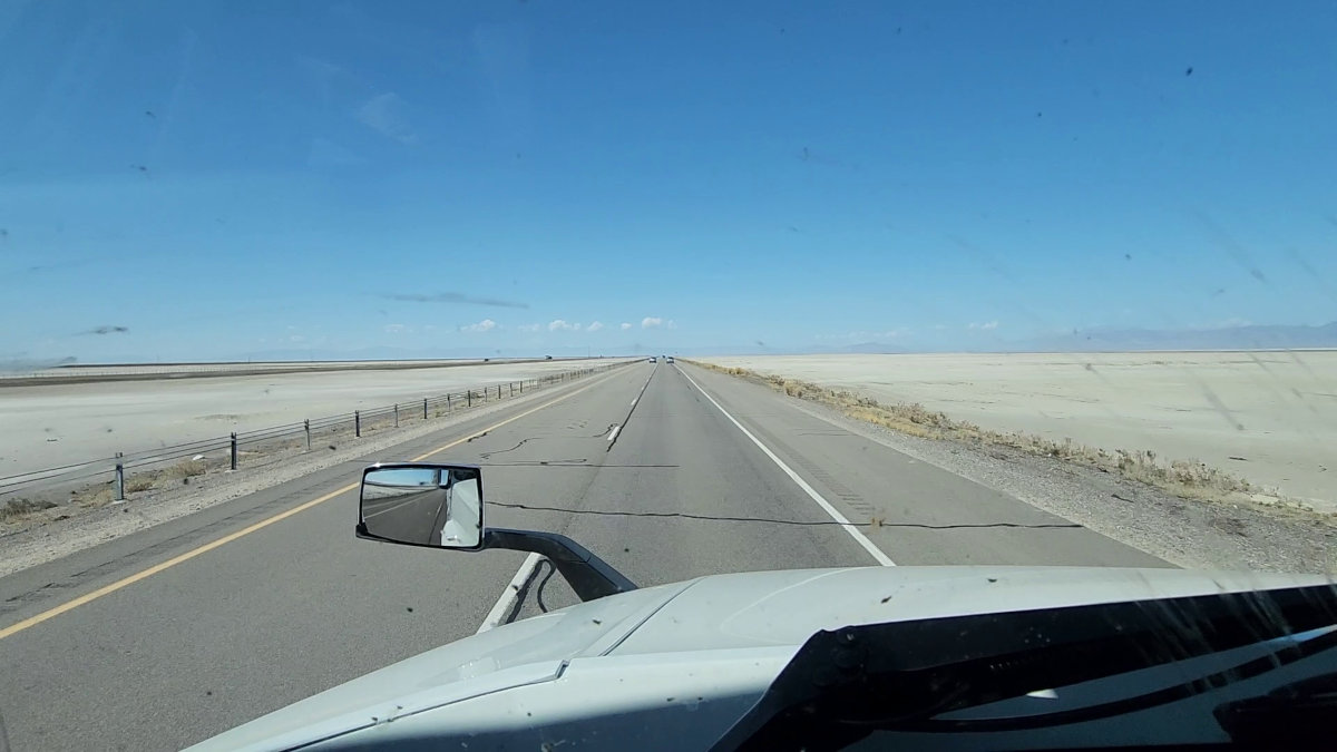 The Wordpress Trap: The Fragility of the Dependency Chain