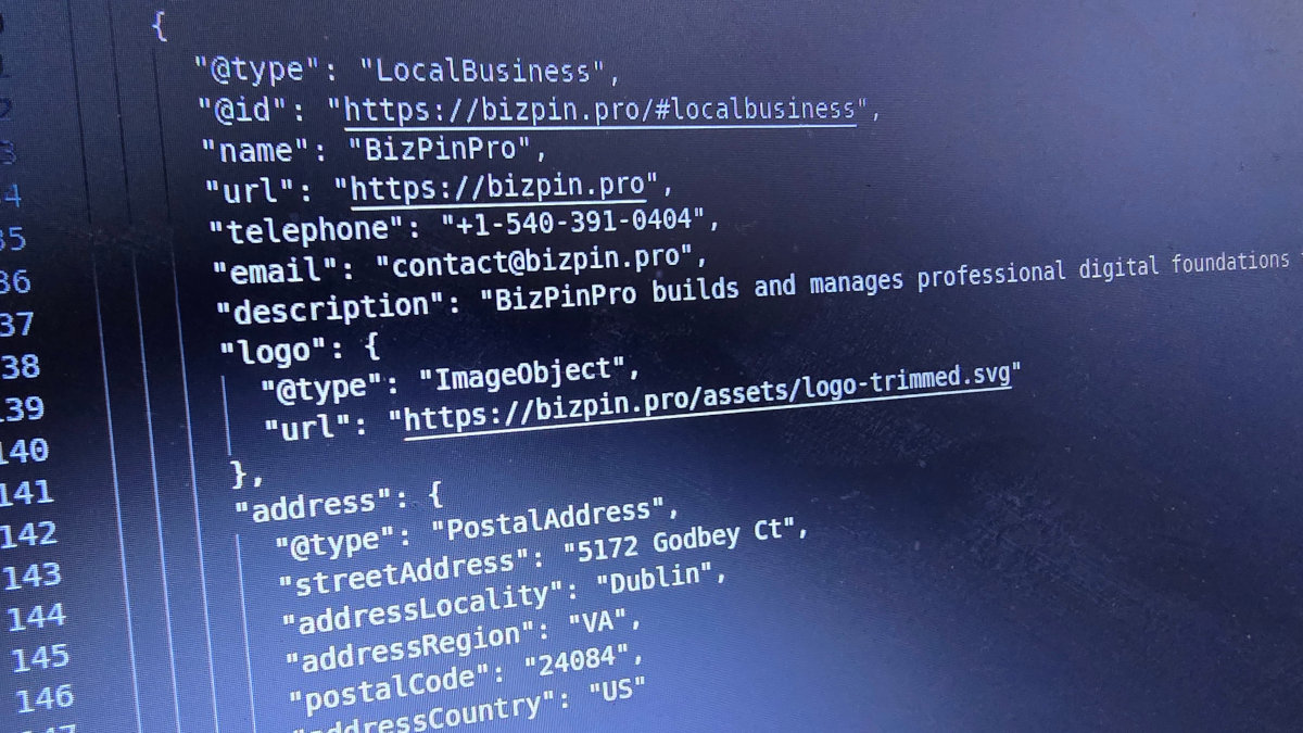 A glimpse of BizPinPro's Schema Markup